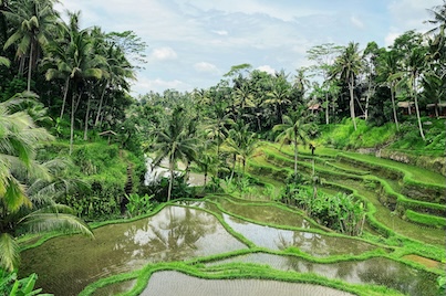baliguidedtours